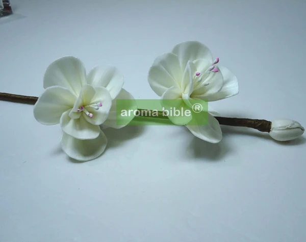 

1000 pcs /lot Handmade sola wood flowers for fragrance diffuser and home decor with 12cm Rope or rattan reed sticks Top quality