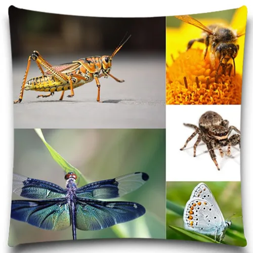 Наволочка на подушку с изображением петуха/паука 9 стилей 16 18 20 дюймов | Дом и сад