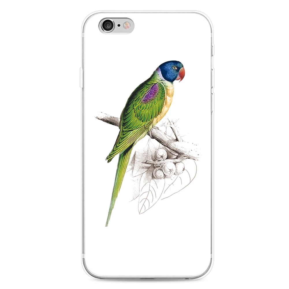 Милый Попугай телефон защитный чехол Крышка для iPhone 6 7 Samsung Galaxy S6 S7|cover for iphone|case