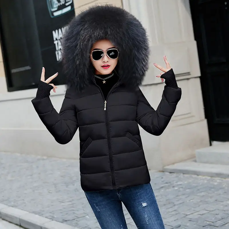 Black fur black Женская теплая зимняя куртка Модные женские парки с капюшоном белый меховой воротник пуховое хлопковое пальто Высокое качество Женское зимнее пальто - Цвет: Black fur black