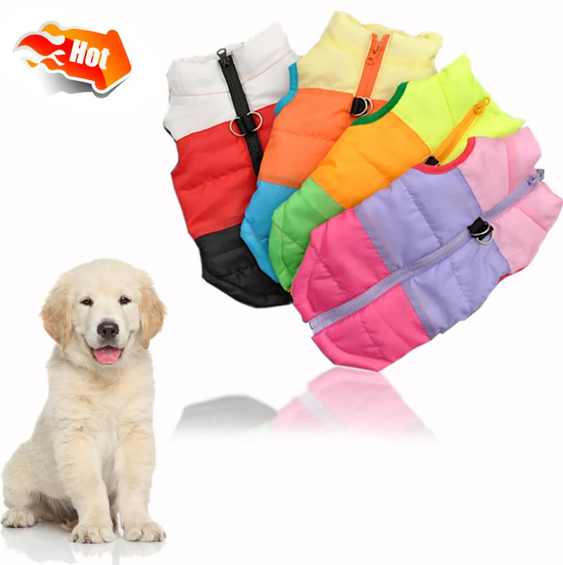 Ветрозащитная Теплая Одежда для питомцев с хлопковой подкладкой чихуахуа щенка