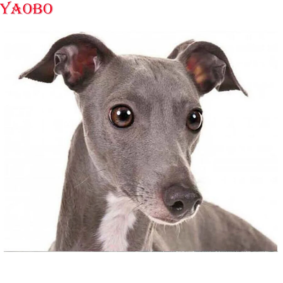 Алмазная живопись с собаками greyhound Стразы 5D сделай сам полноразмерная круглая