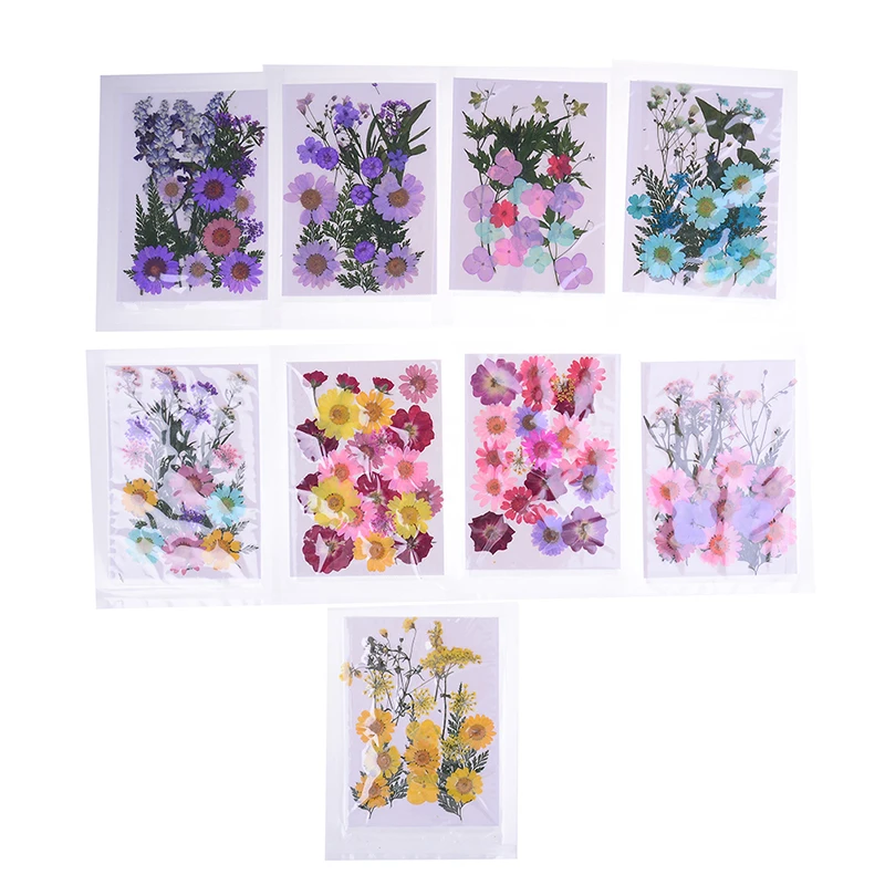 Высушенные цветы для художественного творчества Скрапбукинг Смола ювелирное