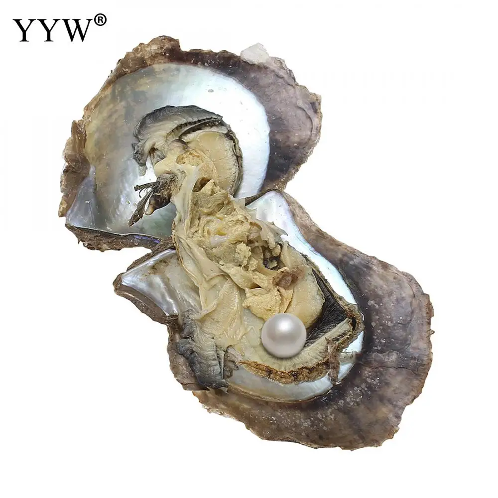 50 шт. Вакуумный пакет Устрица акойя жемчужина окрашенные бусы 7-8 мм жемчужные