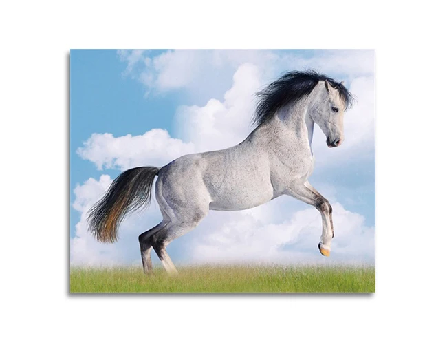 Скачущая Лошадь картина с рисунком животных каллиграфия плакат и принты