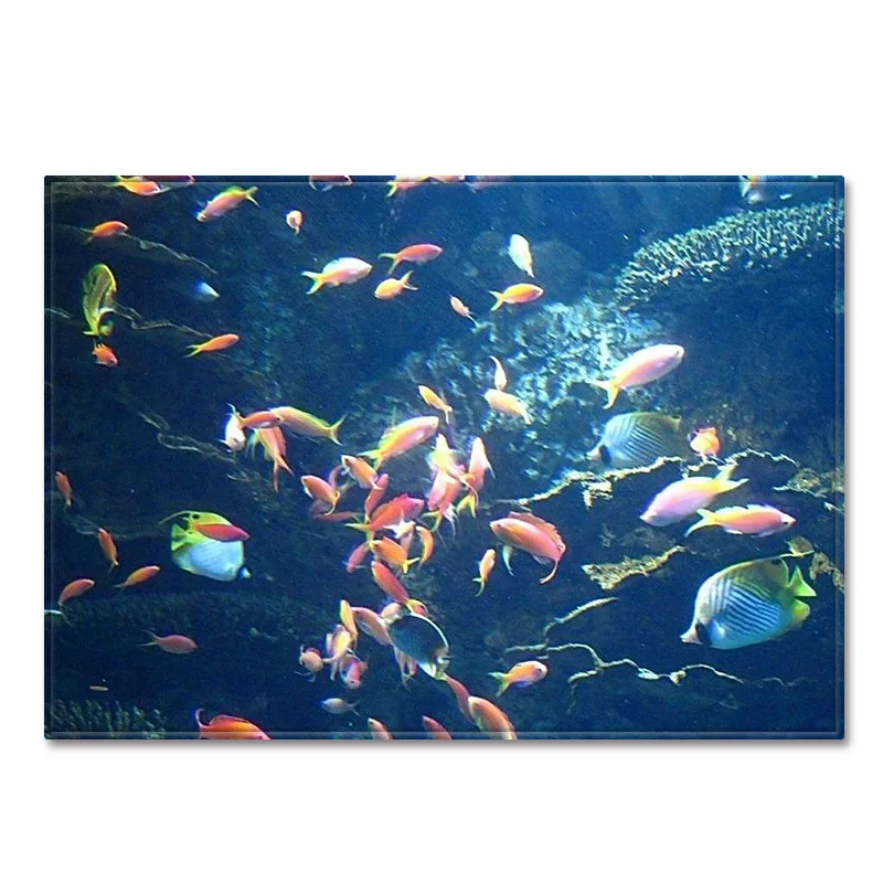 Трендовый подводный мир 3d печать домашняя площадь ковер и ковры для гостиной