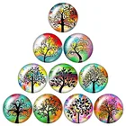 Дерево жизни Листья клевера 10 шт Смешанные 12 мм16 мм18 мм25 мм круглые фото стекло кабошон демонстрация плоской задней делая результаты