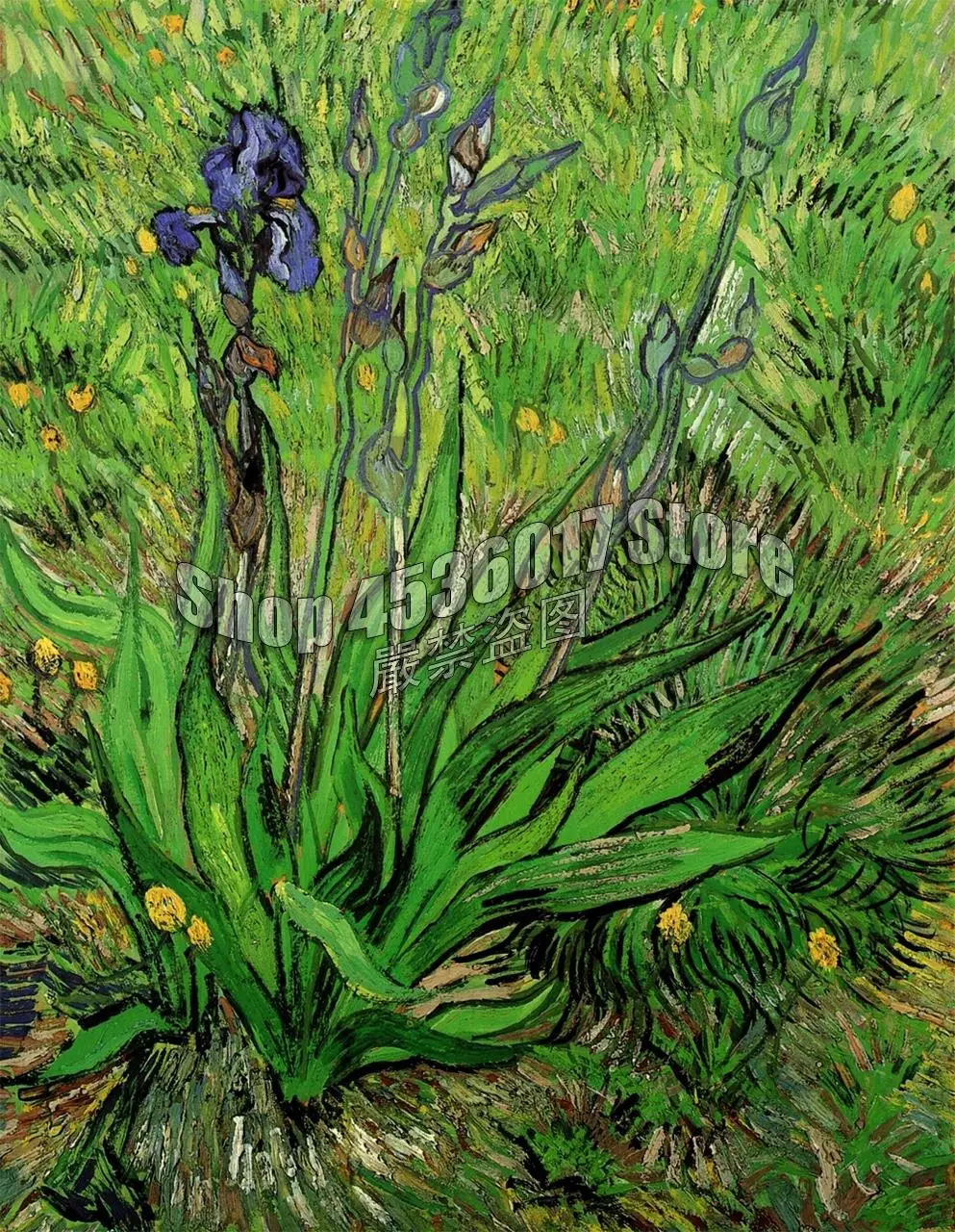 

Diy Diamond Embroidery Gardening & Flowers Van Gogh Rhinestone Full Square Diamond Painting Cross Stitch Kit Mosaic Home Decor