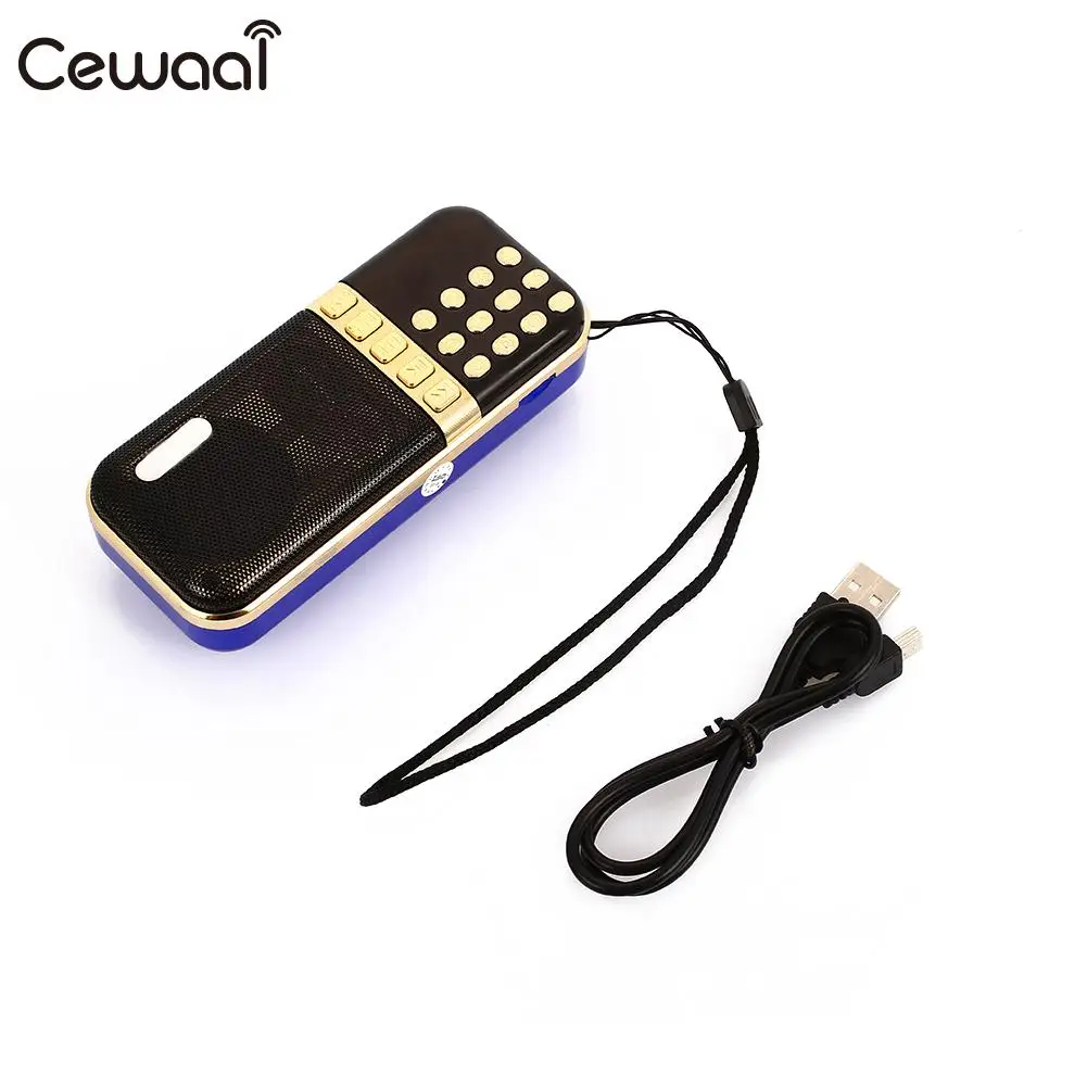 USB Teaching Voice Amplifier FM Raido Support TF Card Guide with Microphone Portable Durable | Электроника
