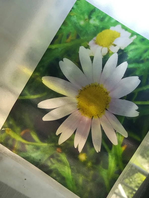 25 sheets paper tags A4 Transparent Self Adhesive Can be torn Easy Peeling Printable Sticker Paper For Inkjet Printer TM C3520|Фотобумага|