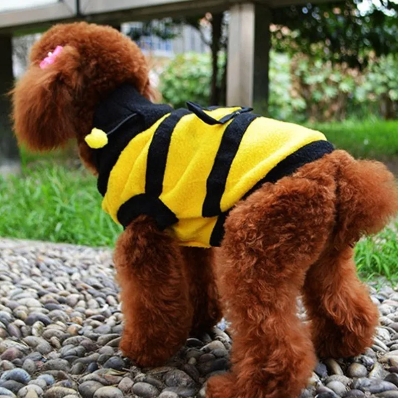 Теплый свитер для домашних любимцев собак кошек пальто щенков пчелы ОСА стильная
