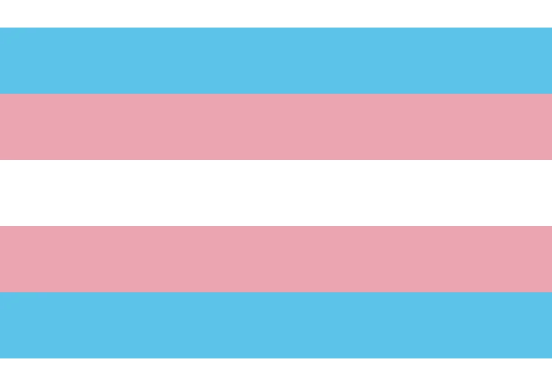 Трансgender Флаг Гордости 3x5FT латунные люверсы LGBT 90*150 см/60*90 см/15*21 см для