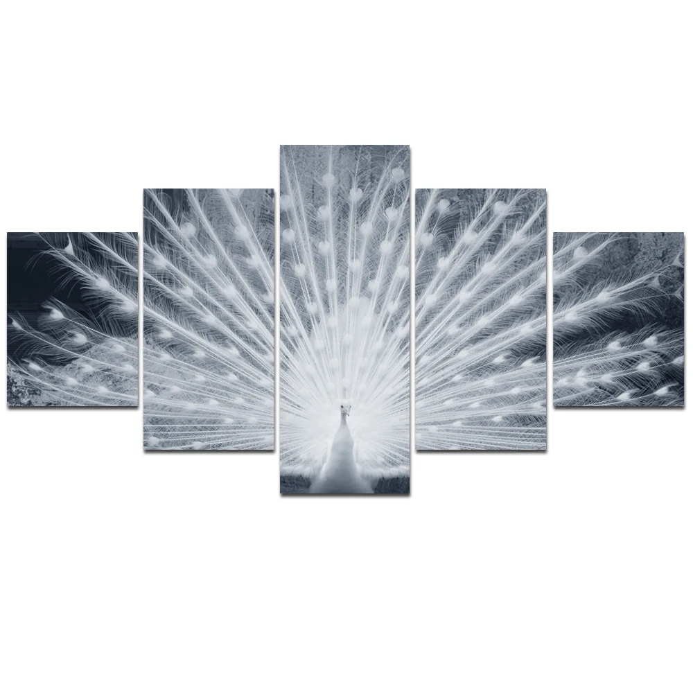 5 Panel White Peacock Canvas Wall Art Print Painting Beautiful Animal Artwork Home Decor Picture for Office Hotel Unframed | Дом и сад