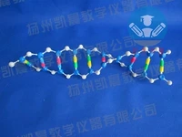 dna double helix structure model component biological experimental teaching apparatus free shipping