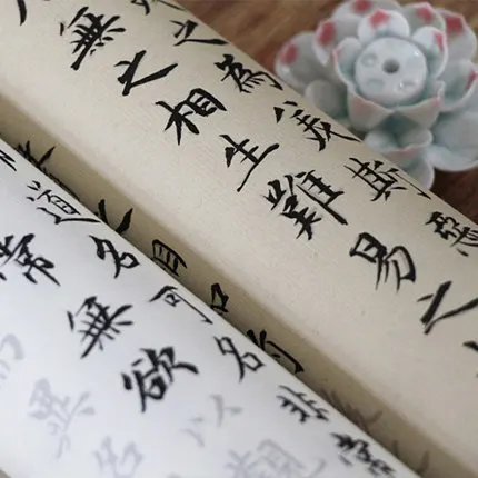 Чжао Mengfu's Xiaokai Tao Te Ching китайская каллиграфическая книга для начинающих и