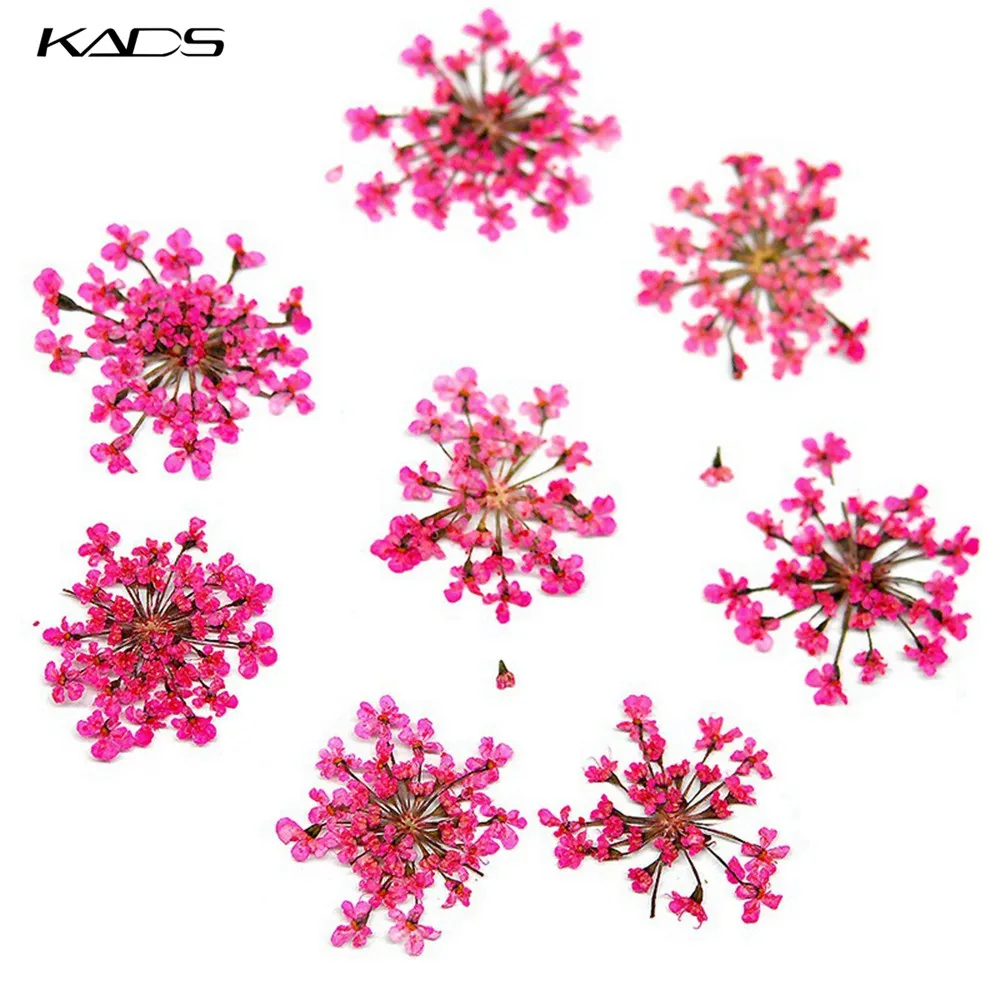Flower Pink Украшения для ногтей Стразы сушеные цветы лист аксессуары для ногтей 3D дизайн аксессуары камни Кристаллы принадлежности для маникюра - Цвет: Flower Pink