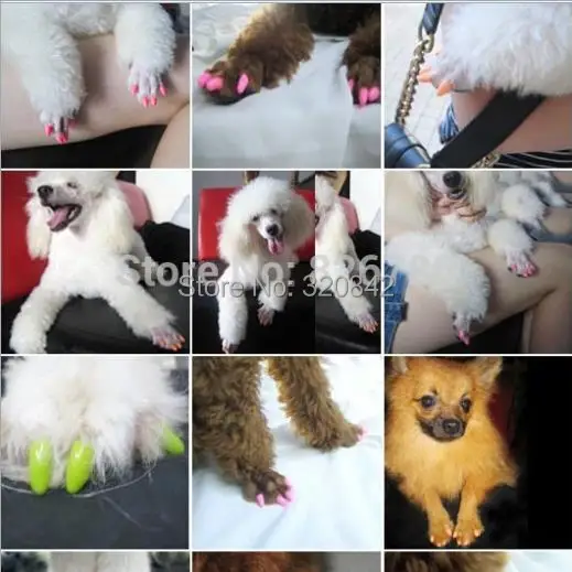 20 шт./лот колпачки для кошачьих когтей домашних животных груминга пальцев защиты