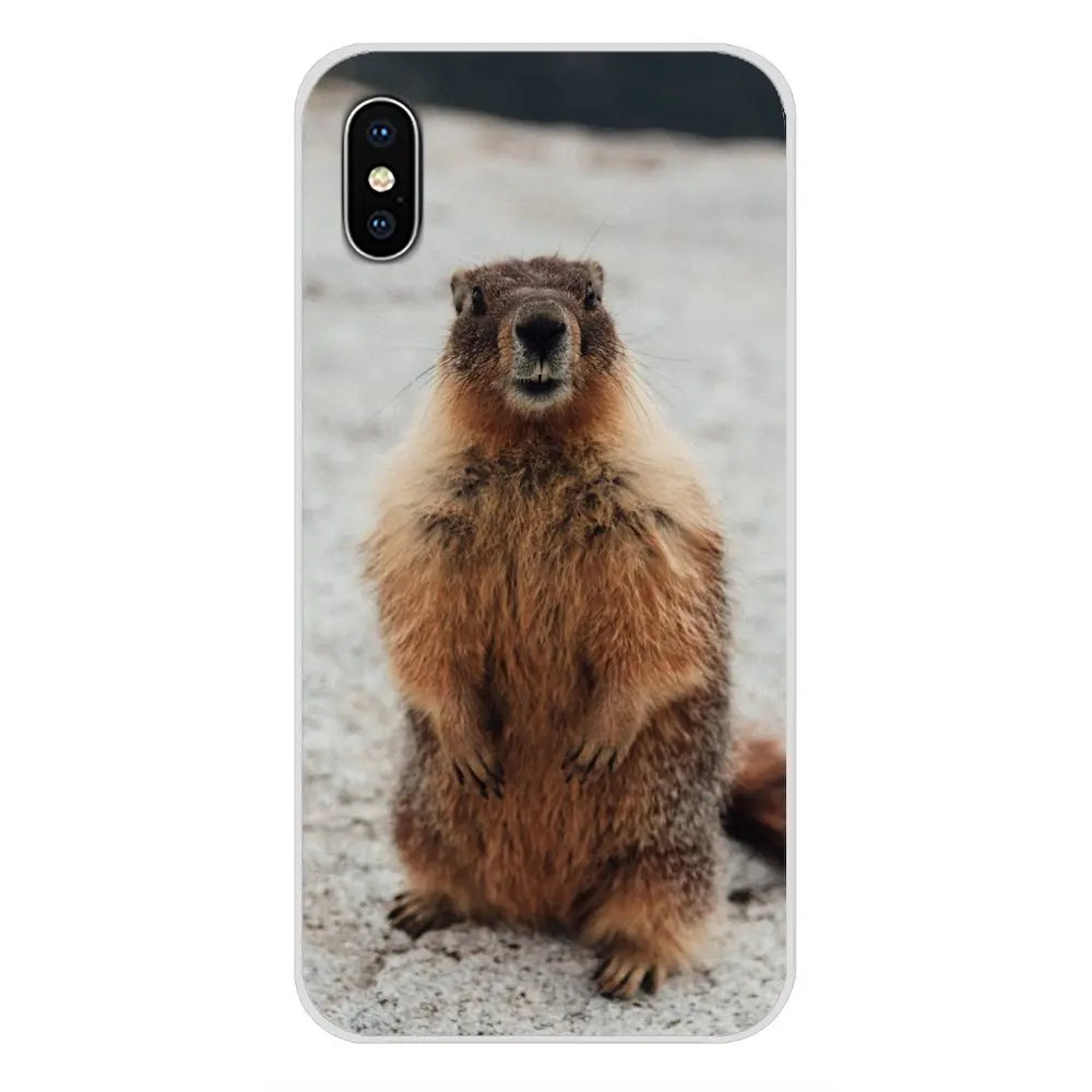 Аксессуары чехлы для телефонов Samsung Galaxy A3 A5 A7 A9 A8 Star A6 Plus 2018 2015 2016 2017 Animal Groundhog |