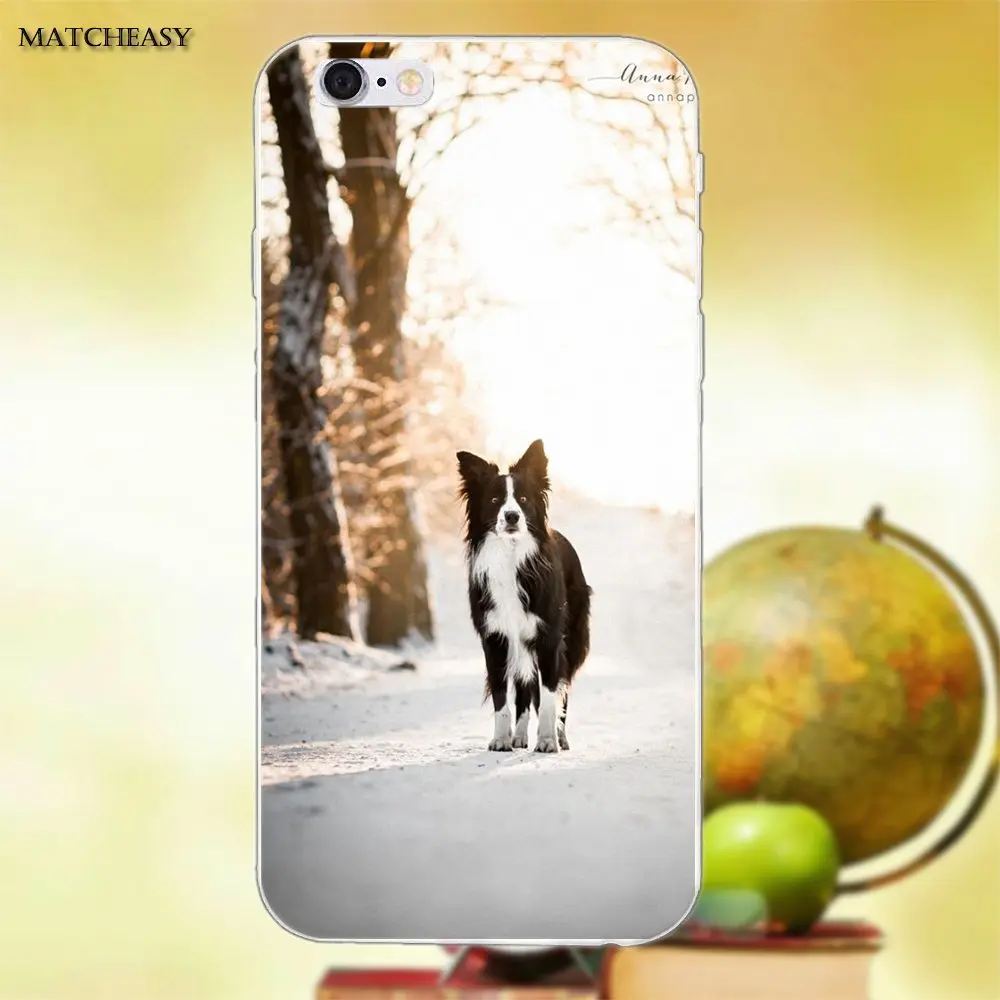 Красивый Border Collie Puppy Dog для Apple iPhone X XS Max XR 4 4S 5 5C SE 6 6S 7 8 Plus мягкий модный мобильный