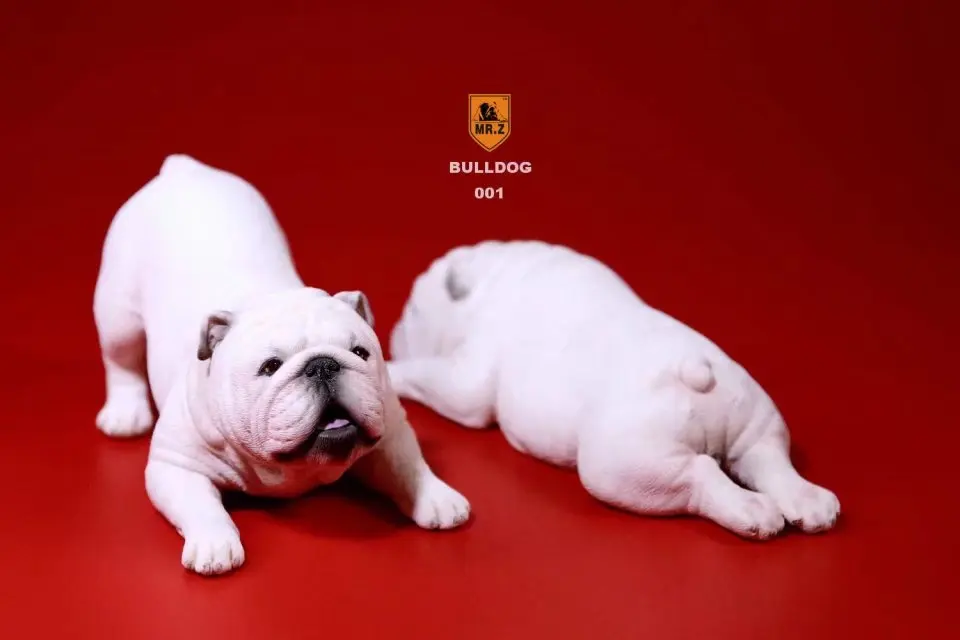 Mnotht 1Pair 1/6 British Bulldog Sculpt Model Naughty &amp Cute Dog Carving For 12in Action Figure Scene l20 | Игрушки и хобби