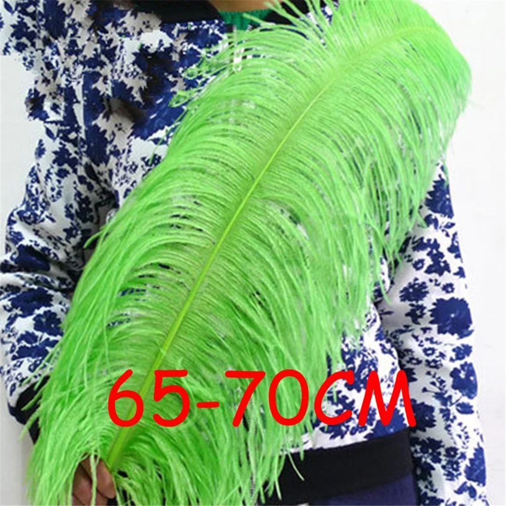 20pcs/lot Apple green ostrich feathers 26-28inch/65-70cm plumage Wedding centerpieces Ostrich Drabs Hat DIY sk302 | Дом и сад