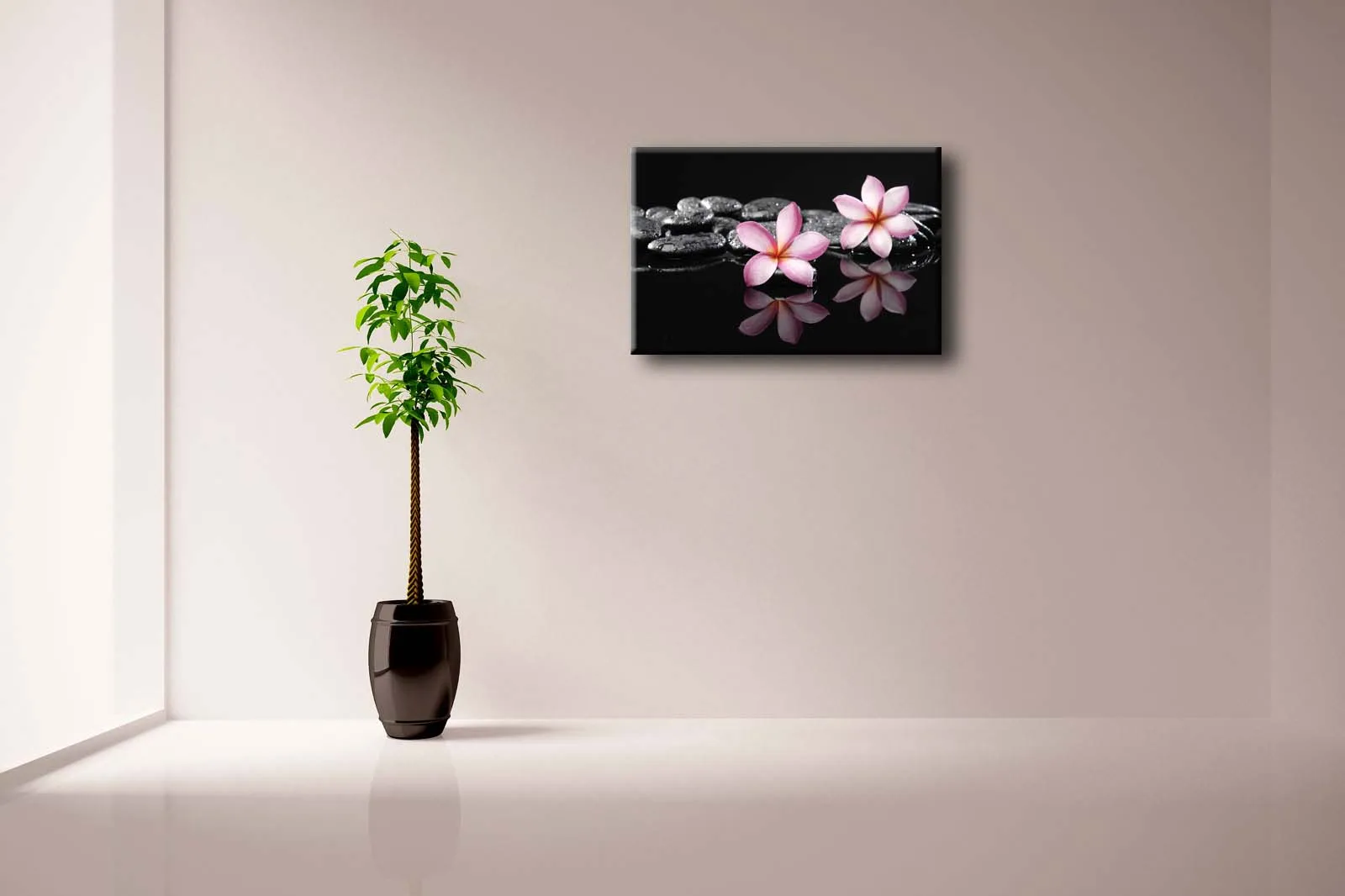1 панель без рамки настенные художественные фотографии Frangipani Zen камни холст