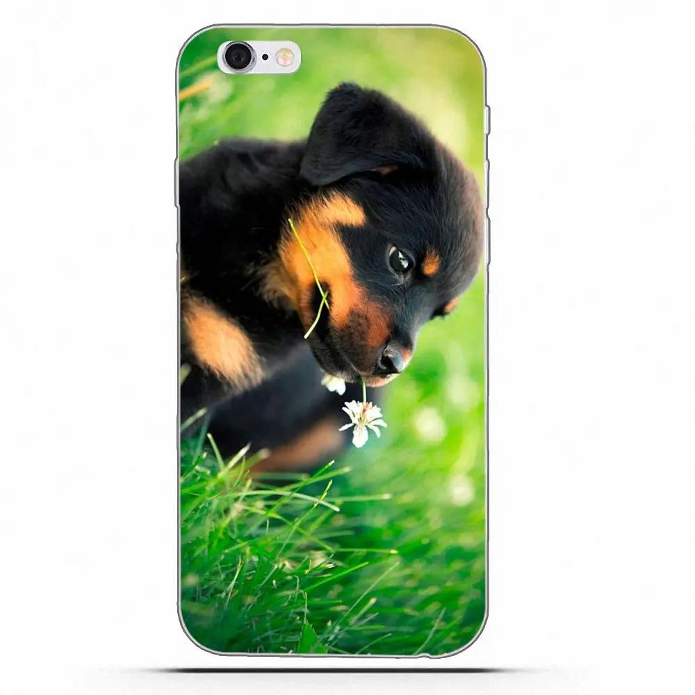 Чехол от бренда Wexoeq Rottweiler с изображением собаки чехол для Apple iPhone 4 5 5C 4S SE 6 6S 7 8 Plus X |