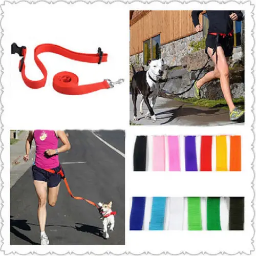 Нейлоновый Поводок для собак 120 см | Дом и сад