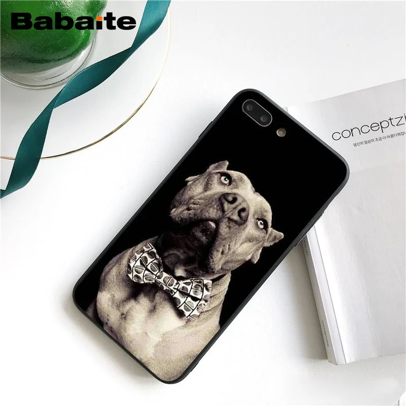 A6 Babaite питбуль прекрасный питбуль чехол для телефона чехол для iphone 11 Pro 11Pro Max X XS MAX 6 6s 7 7plus 8 8Plus 5S SE XR - Цвет: A6