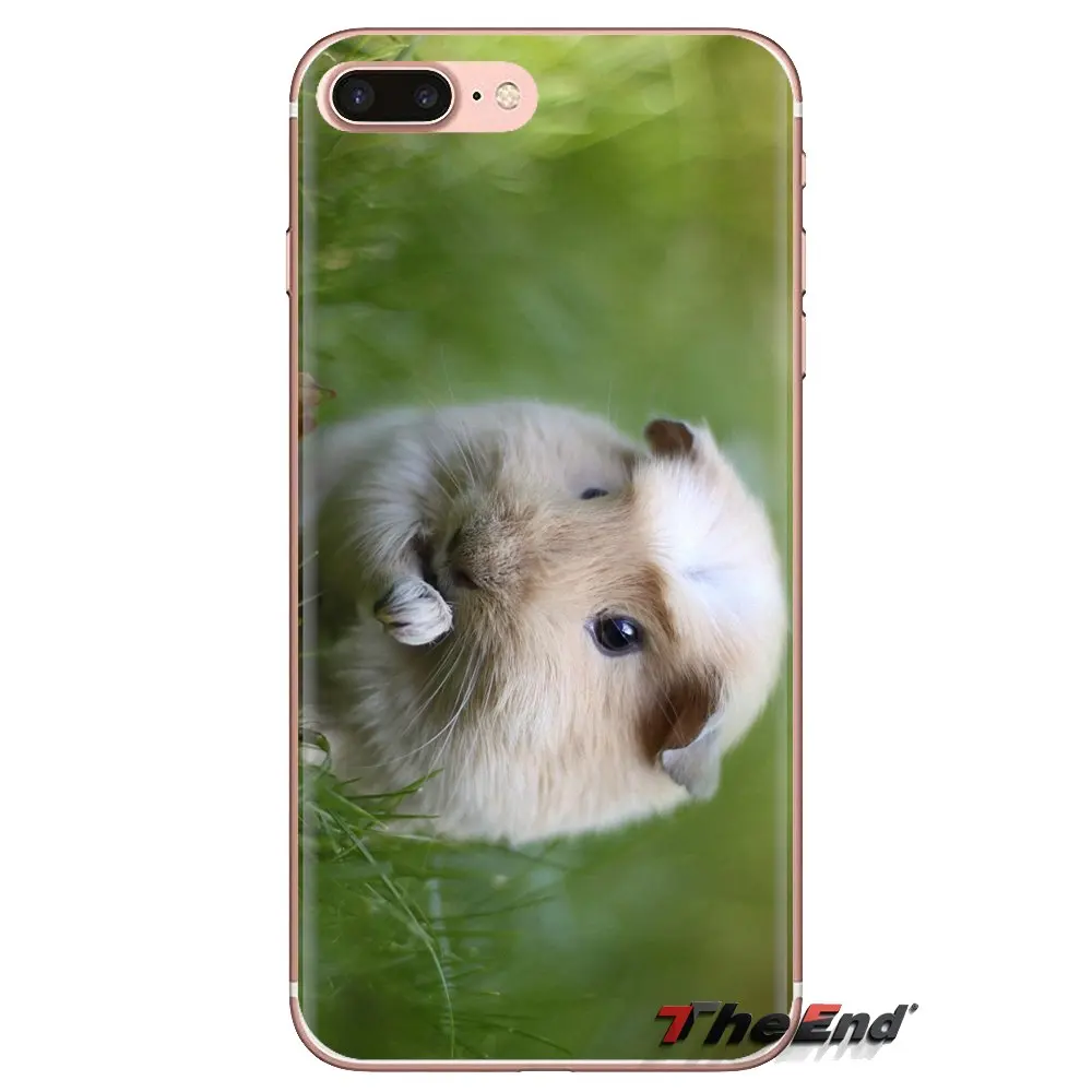 White guinea pig Animal Soft Transparent Shell Covers For iPod Touch Apple iPhone 4 4S 5 5S SE 5C 6 6S 7 8 X XR XS Plus MAX |