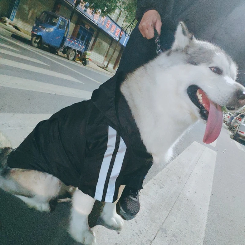 Светоотражающая куртка для собак сезон осень зима Одежда Пудель Bichon Schnauzer