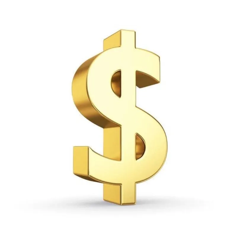 

The payment for shipping charger or other special payment