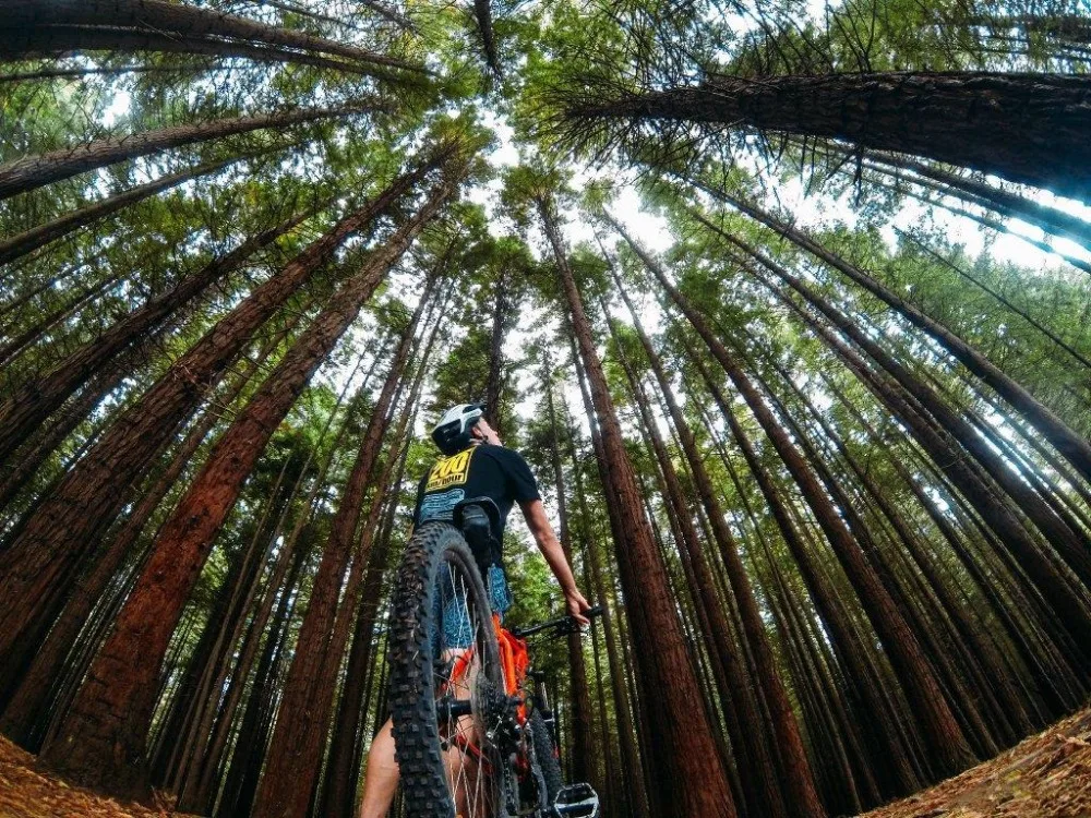 Интимные Аксессуары Комплект GoPro поплавок нагрудный ремень Гора для Hero 4 3 сеанса