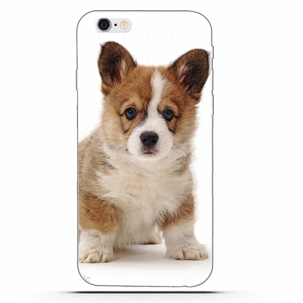 Мягкий чехол Wexoeq для мобильного телефона Samsung Galaxy A3 A5 A7 J1 J2 J3 J5 J7 2015 2016 2017 Corgi Dog
