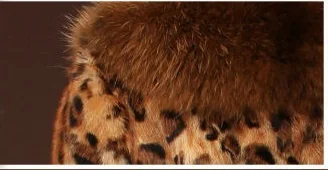 Новинка 2017 модное пикантное пальто с леопардовым принтом из лисьего меха и енота