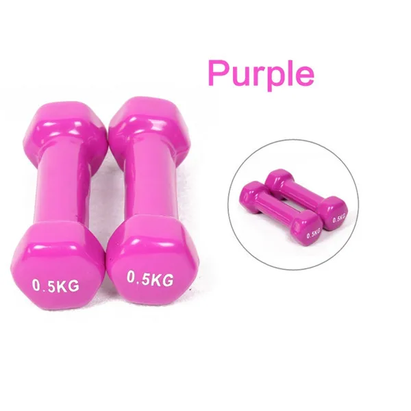 

0.5Kg*2 Plastic Dip Multicolour New 2015 dumbbell Household child's Fitness Dumbbell wholesale free shipping kylin sport