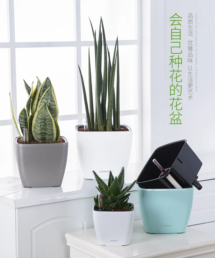 Desk Square Round Green Rose Succulent Plant Lazy Flowerpot Trumpet Automatic Water Absorption Flowerpot Plastic