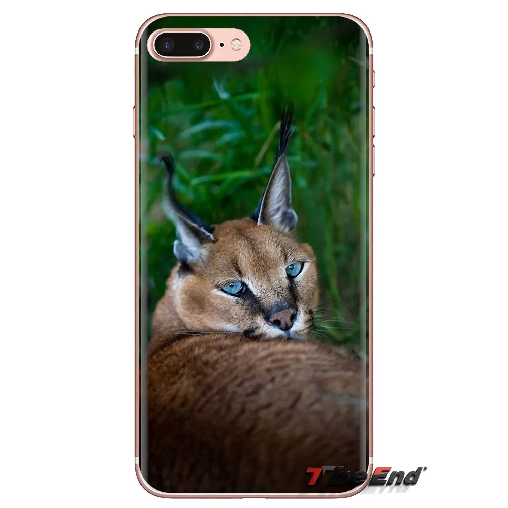 For Huawei G7 G8 P7 P8 P9 P10 P20 P30 Lite Mini Pro P Smart Plus 2017 2018 2019 Silicone Case Covers Africa Lynx Caracals kitten |