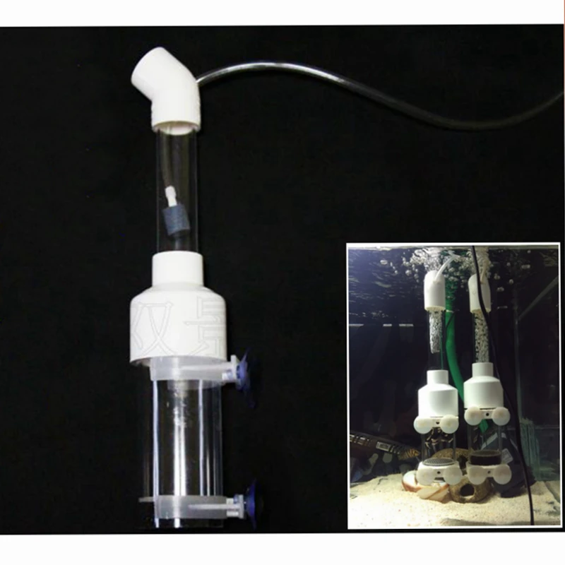 Аквариумные цихлиды инкубатор инкубаторная изоляция обозреватель аквариума roes