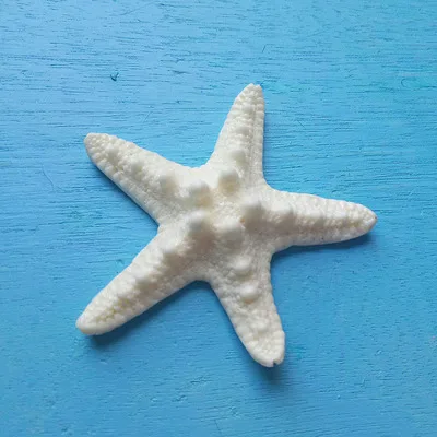 1 шт./лот, изделия из смолы, на палец, морская звезда, драпировка, "-4", отличные Свадебные или вечерние украшения для дома, Морская звезда, морская раковина - Цвет: 6.5cm white