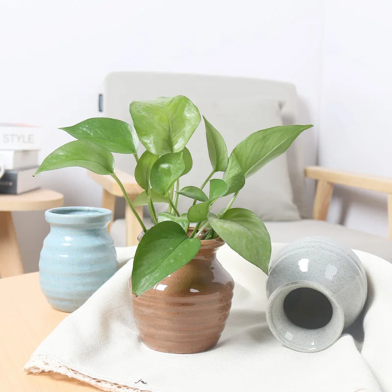 Европейская керамическая ваза ручной работы простая для растений учебы гостиной