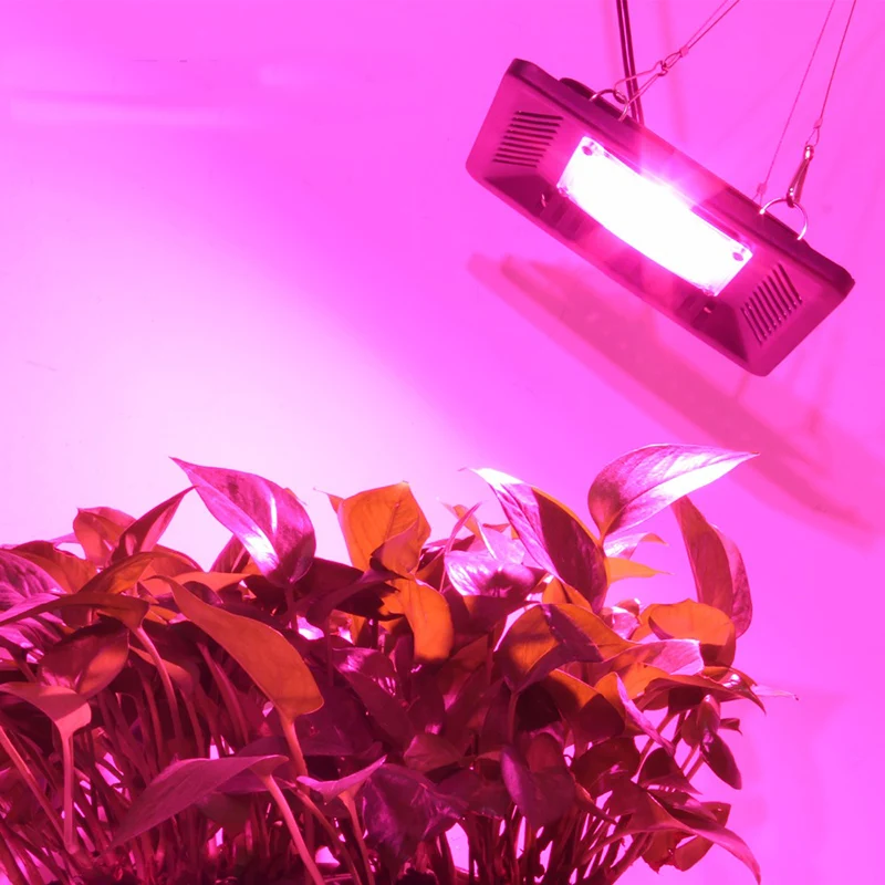 50 Вт 100 COB Led Grow Light полный спектр LED Lamp для растительного цветка Крытый Открытый