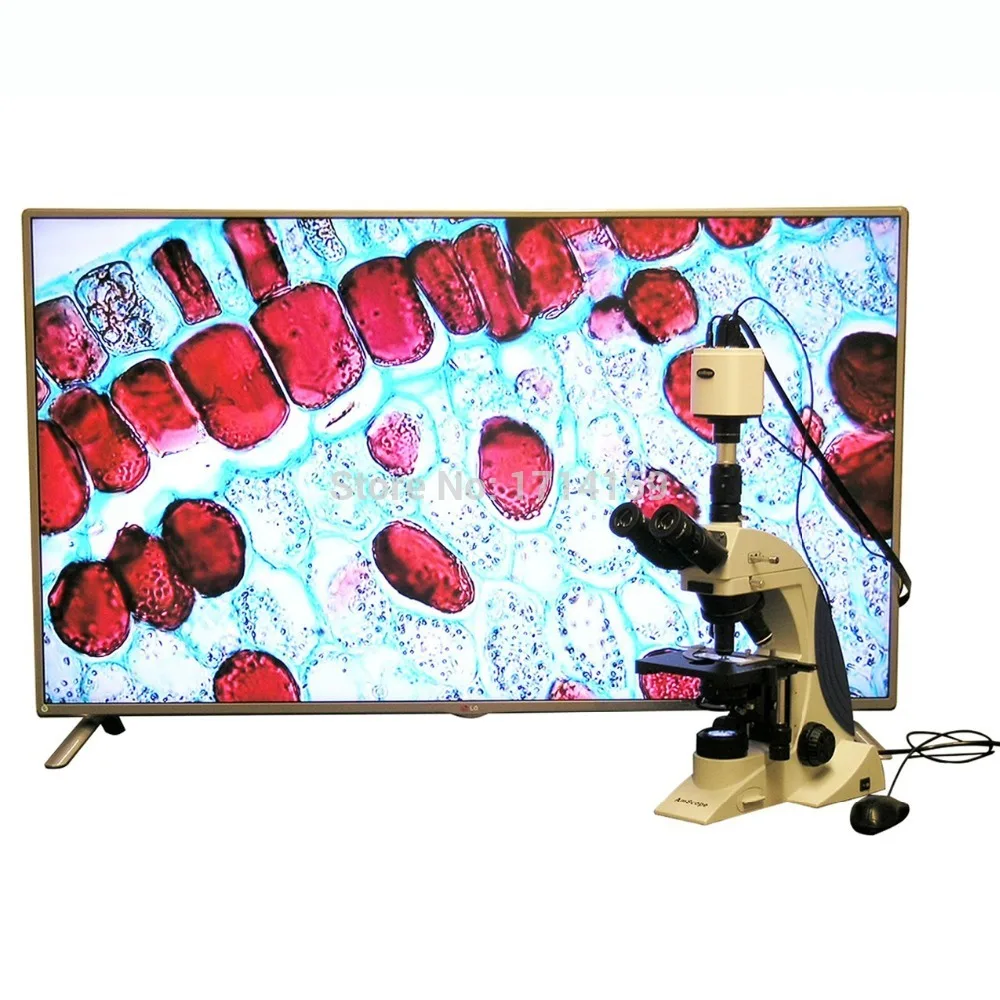 Металлургический микроскоп AmScope поставляет 40X 1000X план Бесконечность Kohler