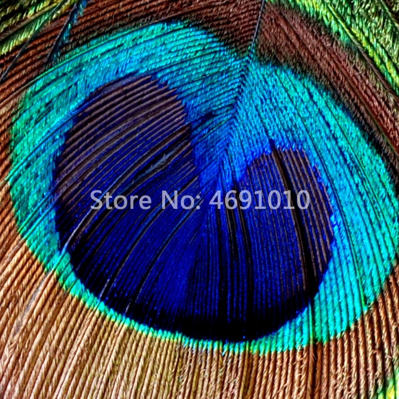 JiaSheMeiJu пользовательские 3D обои домашний декор цветные перья Современное