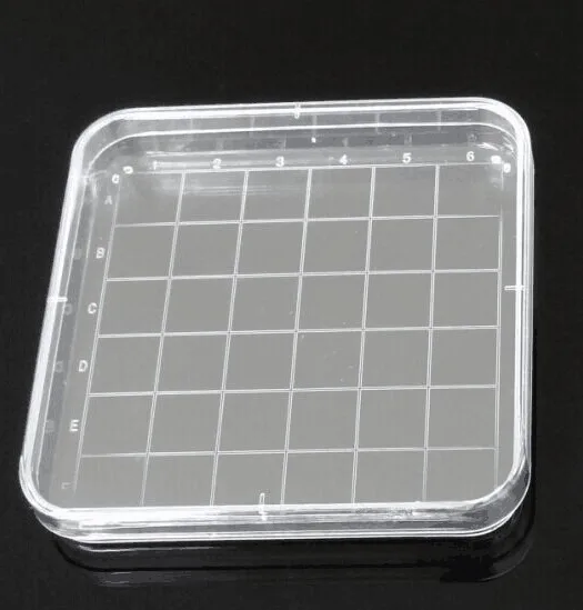 

Square plastic culture dish with tick mark Epoxy sterilization