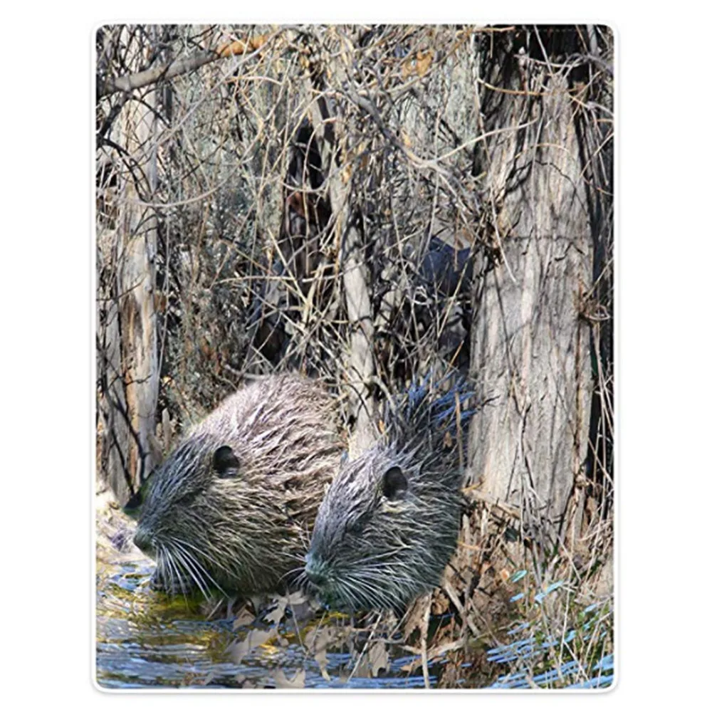 Супер мягкое теплое одеяло s диван кровать пледы морская свинья мышь камуфляж