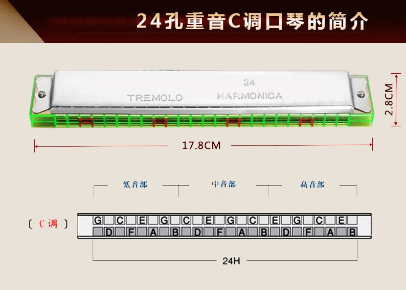 24 Отверстия tremolo C Гармоника Октава Гармоника|harmonica c|tremolo harmonica24 hole harmonica |
