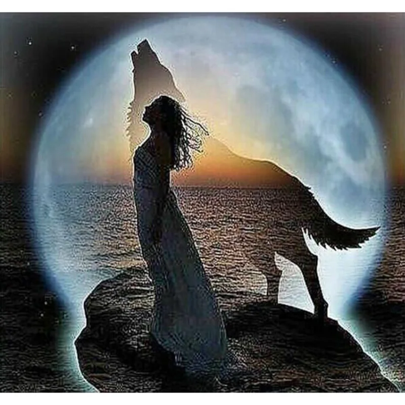 Алмазная 3D картина сделай сам красивая девушка и волк рядом с Луной вышивка