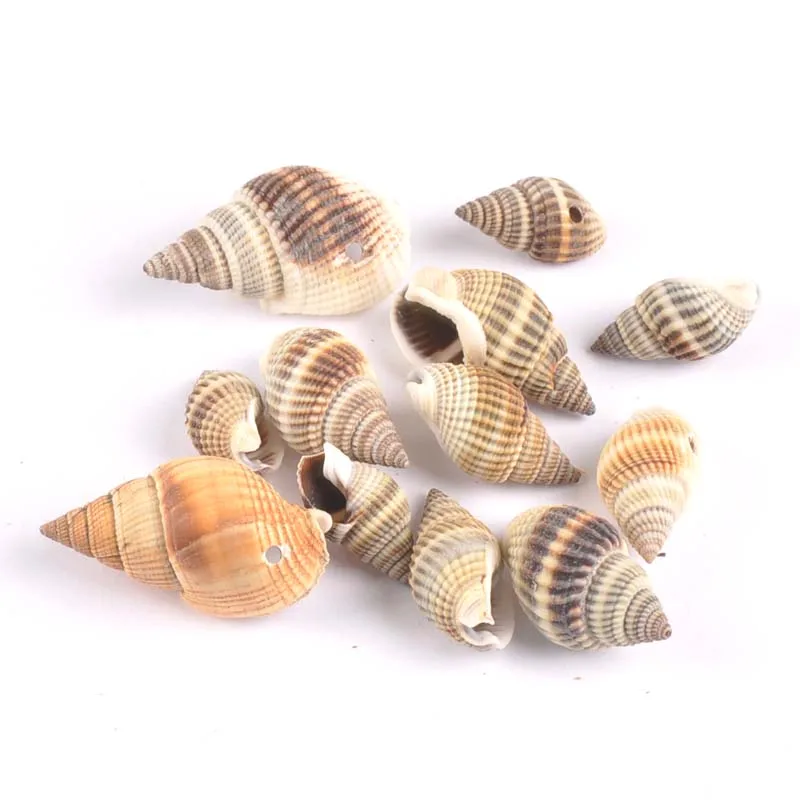 

20-35mm One hole Natural spot Spiral Shell Loose Beads for DIY Scrapbook craft decoration 20pcs TRS0043X