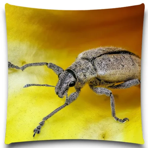 Квадратная наволочка с бабочками/насекомыми стильные хлопковые наволочки из